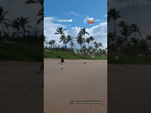 Amigas inseparáveis: menina passeia com cadela e duas araras na Bahia