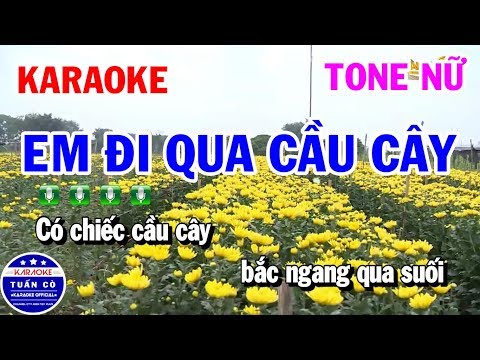 Karaoke Em Đi Qua Cầu Cây Nhạc Sống Tone Nữ C | Tuấn Cò