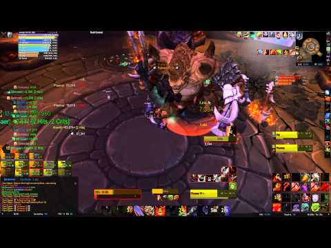 Twin Ogron HC No Regrets Tank PoV