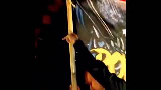 Download lagu story wa PSHT solo raya mp3 Download lagu story wa PSHT solo raya mp3