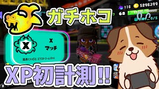 初Xマッチ！ガチホコXP測定しながら遊んでいくかぁ🐶🌟負け犬系Vtuber配信【スプラトゥーン3】【Xマッチ】