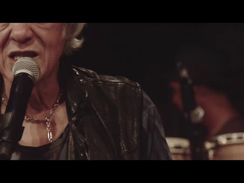 Erasmo Carlos - É preciso dar um jeito meu amigo