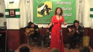 Poetas Andaluces "Voces de Nuestro Pueblo". ART3: Los Pelegrinitos