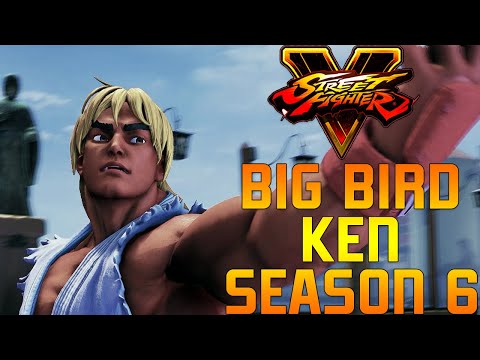 Big Bird vs Japan's Best Player's ▰ Bigbird Ken Compilation ➢ Street Fighter V/5 Definitive Edition