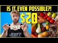 I tried to EAT HEALTHY for $20 Dollars A Week, Here's What Happened...