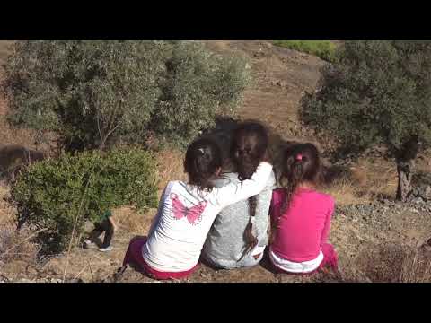 Marmaris Rally Turkey 2017 / Eren Burkay / Bora Arabacı / Özet