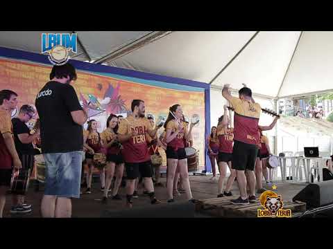 Desafio de Baterias JOIA 2019 - Lobateria