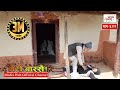Meri Bassai Episode 544 3 April 2018 By Media Hub Official Channel