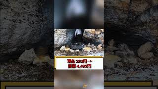#新NISA  #資産運用  #投資初心者  #日本経済  #株価予想 #注目銘柄  #人気銘柄  #話題株  #急騰株  #爆上げ