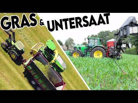 Zwischen Wahnsinn & Feldversuch: Unser 4. Grasschnitt & Untersaat in 100-Tage-Mais pusten