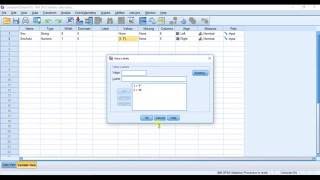 SPSSisFun: Converting Text (string) data to Numeric data