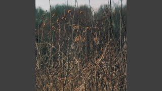 Streets Been Talkin'