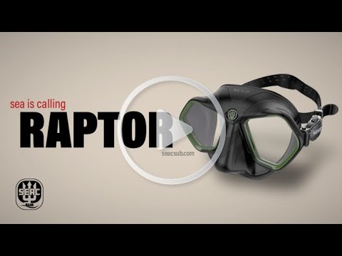 SEAC RAPTOR
