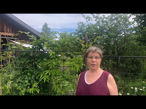 EKOVURM, Använd ogräs som näring för din odling