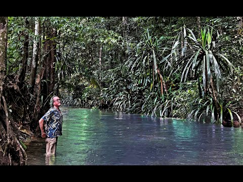 FIELD TRIP WITH PATRICK BLANC IN SOUTHWEST PAPUA - RAJA AMPAT ARCHIPELAGO