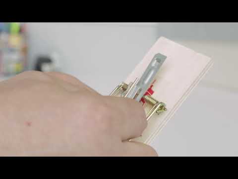 How To Set a WILSON PREDATOR Mouse Trap