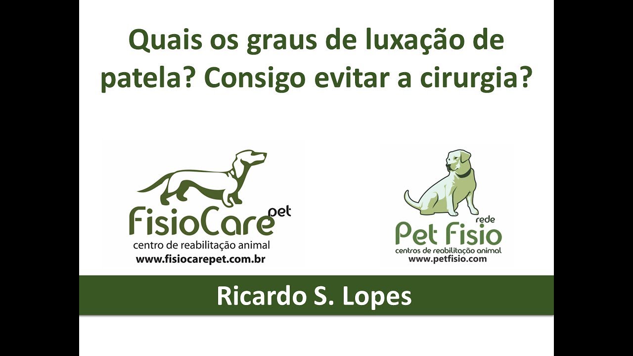 Luxação de patela em cães para tutores: Quais os graus e como evitar a cirurgia