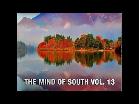 The Mind of South volume 13 - GUESTMIX BY REORDER