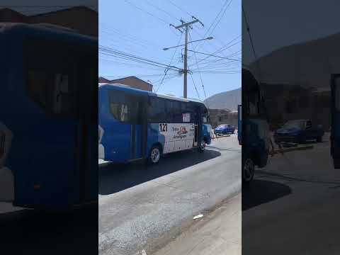 Micros de Antofagasta