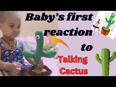 Baby’s first reaction 😱 to talking cactus 🌵 toy/dancing cactus toy