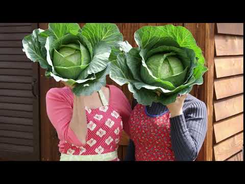 Welcome to our channel - Urban Homestead