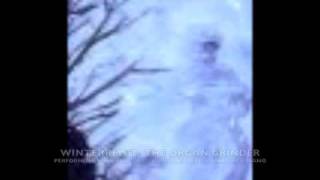 Winterreise - Die Nebensonnen (Three Suns) & Die Leiermann (The Organ-Grinder)