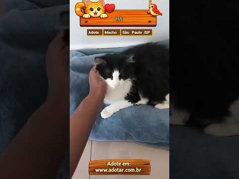 Vídeo de ask