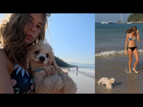 my dogs first time swimming