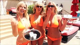 Mahmut Orhan Vesaire