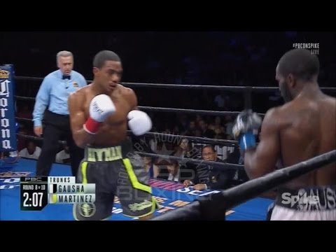 Steve Martinez ROBBED??? LOSES Maj Dec vs Terrell Gausha
