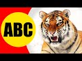 ALPHABET ANIMALS For Children Learn ABC With Animals For Kids Preschoolers And Toddlers