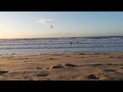 17.02.2022 North Sea Den Haag Strandslag 9. Temp. +/- 8°C  Water 6.5°C  Wind 12m/s    (ASMR)