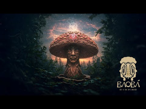 Baobá 2025 Tribute (Phaxe, Perception, Vermont, GMS, Empirikal, Dekel, Blazy, 3 Of Life, Basscanon)