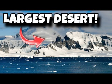 Sahara vs Antarctica | Largest Desert in the World