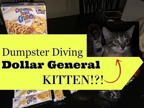 Dumpster Diving Dollar General / KITTEN!?! Video