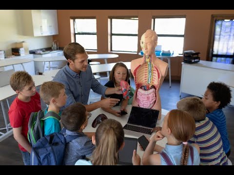 Corpul Omenesc pe intelesul copiilor 1. Interpretare : Educatoarea Georgeta Cutaru