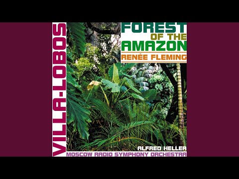 Floresta do Amazonas: Deep in the Forest