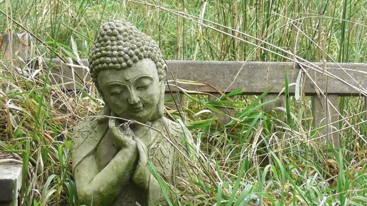 Simply be...peace with the Buddha by the river pond