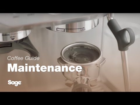 The Barista Express™ | How to perform a cleaning cycle on your espresso machine | Sage Appliances UK
