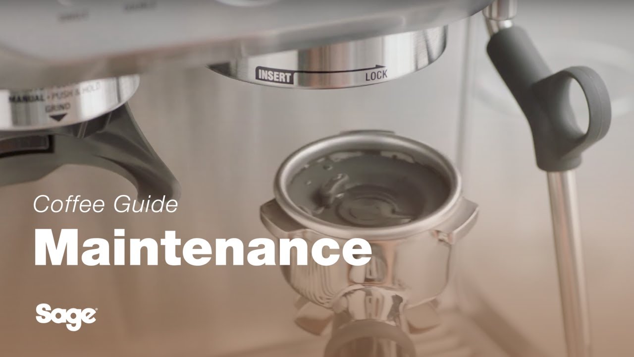 How to perform a cleaning cycle