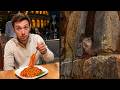Best Of The Internet (2025): The Year’s Most Viral and Unforgettable Digital Moments