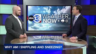 Houston's Allergy Alert: Rising Fall Pollen and Mold Counts Amid Warming Climate