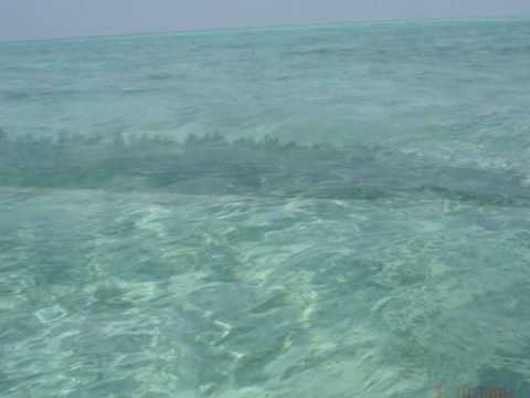 Lakshadweep video