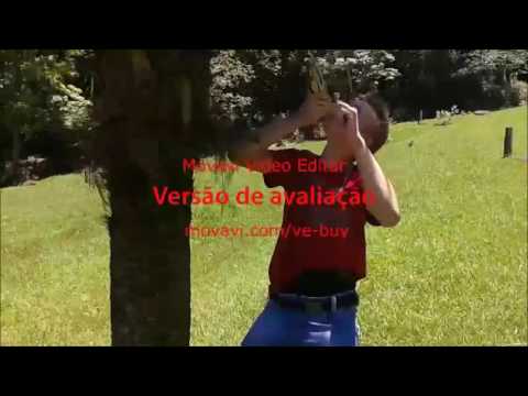 Clipando - O Alemão vai te pegar