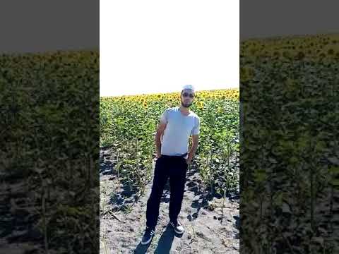 Üçüncü bahar. Müziksiz ilahi