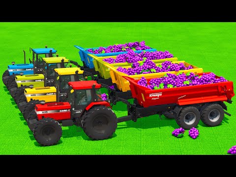 LOAD AND TRANSPORT GRAPES WITH CASE TRACTORS & CLAAS LOADERS - Farming Simulator 25