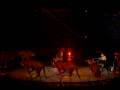 Ringling Brothers 2008