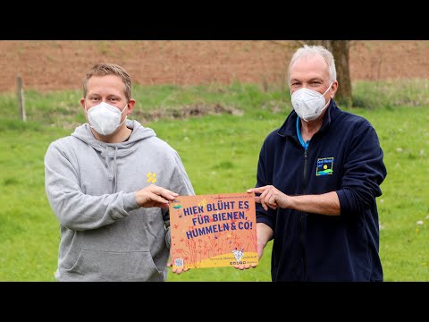 Insektenhelden in St  Wendel