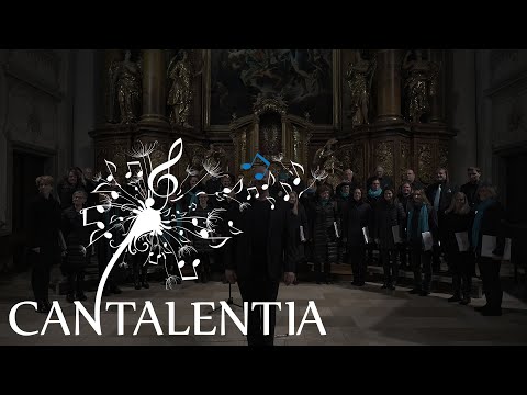 Is finsta draußt - Kurt Muthspiel I Cantalentia - A cappella Chor