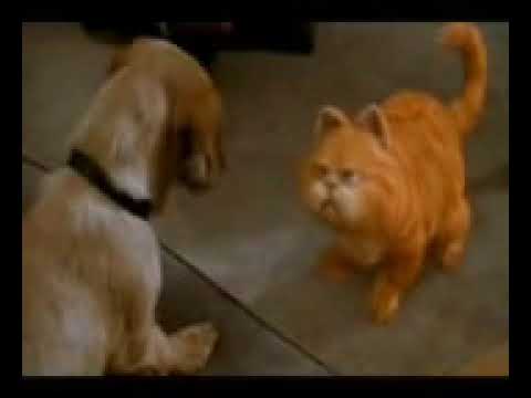 Funny cat and dog   Bangla sub